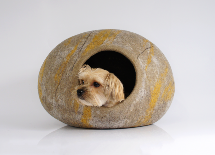 Pet Stone