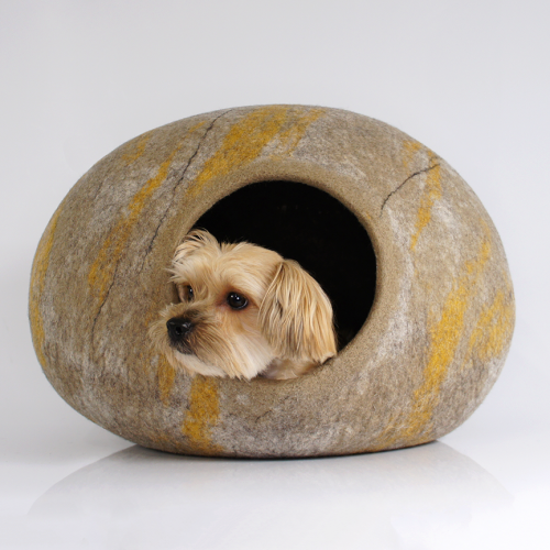 Pet Stone